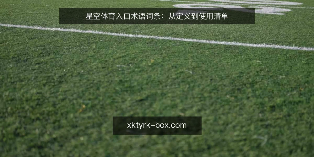 星空体育入口术语词条：从定义到使用清单 — 为何现在审计星空体育入口相关术语 配图