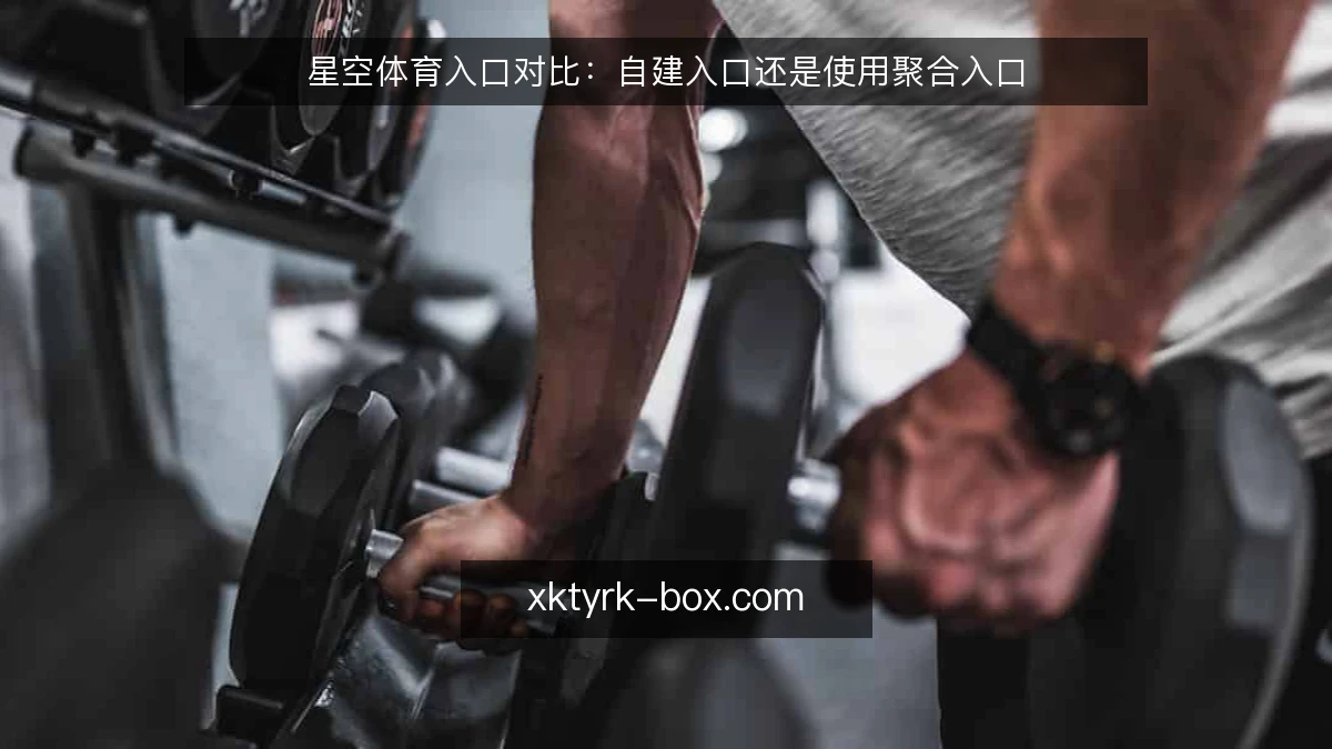 星空体育入口对比:自建入口还是使用聚合入口