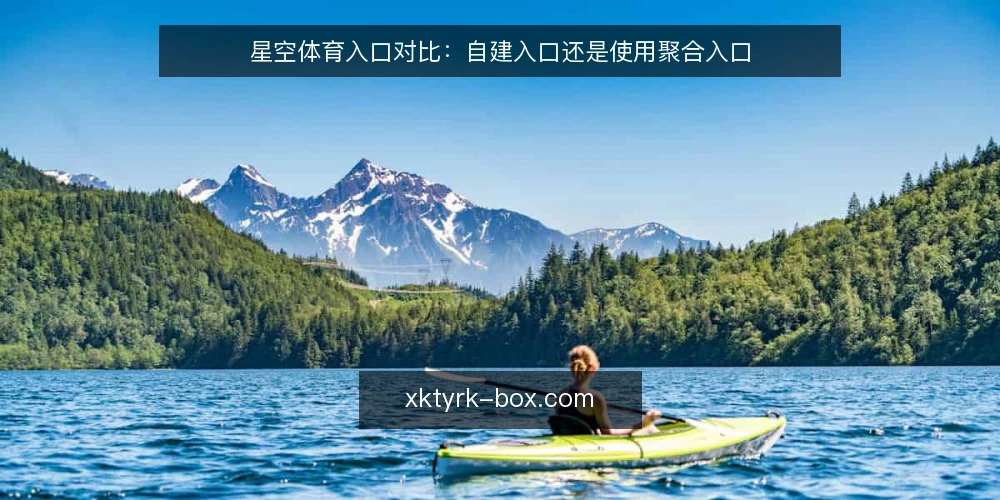 星空体育入口对比：自建入口还是使用聚合入口 — 明确需求边界 配图