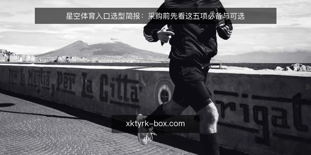 星空体育入口选型简报:采购前先看这五项必备与可选 — 先定义需求:你要入口解决什么问题 配图
