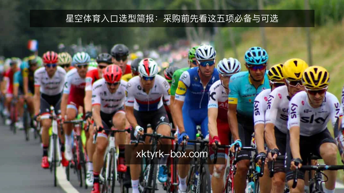星空体育入口选型简报:采购前先看这五项必备与可选