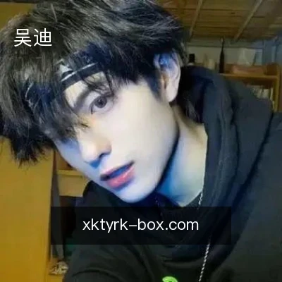 吴迪